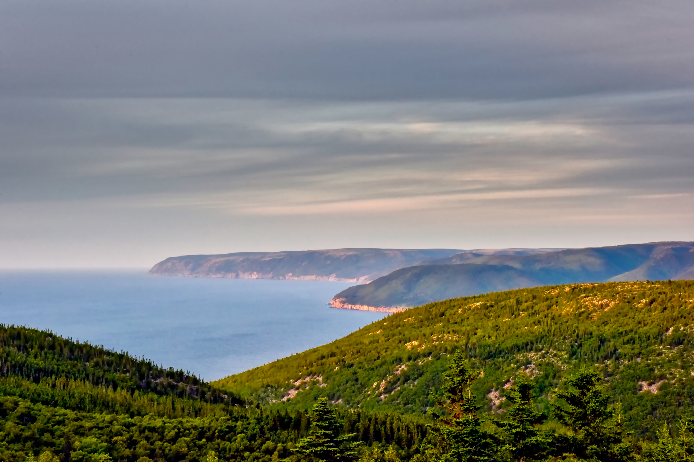 cape breton highlands national park, nova scotia.webp